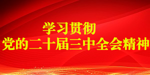 多功能二新癸酸二甲基锡/68928-76-7，兼具凝胶和发泡双重催化作用
