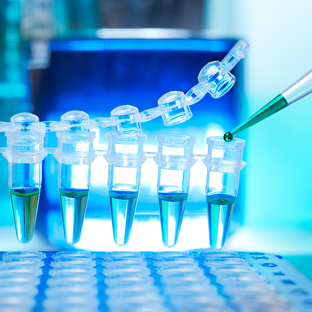 高性能活性凝胶类催化剂，确保制品具有优异的耐候性、耐化学性和耐磨性