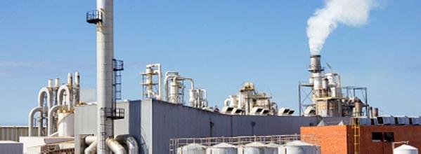 有机铋催化剂在不同体系中的应用